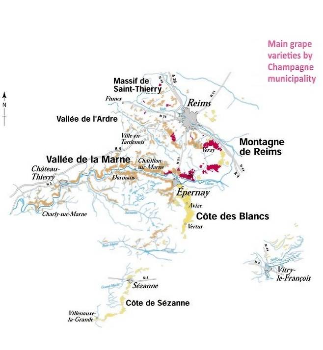 상파뉴 중심 산지 품종. 상파뉴와인협회