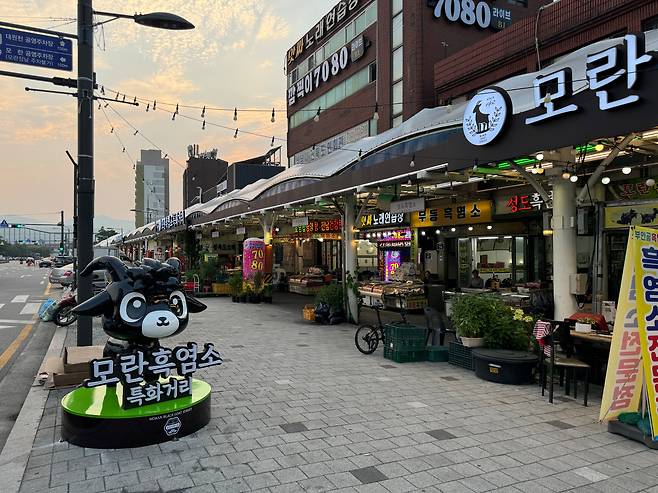 지난 14일 오후 모란시장 맞은편에 조성된 흑염소 특화 거리의 모습. /양범수 기자