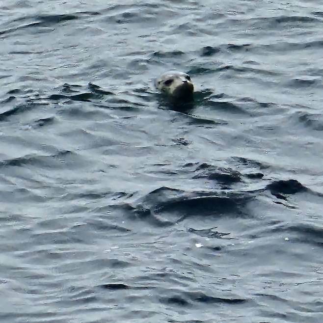 사진 제공 김민수