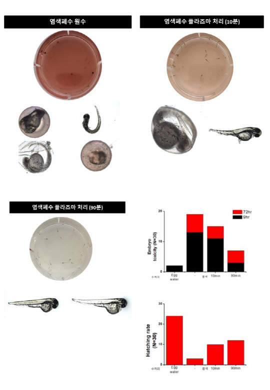 염색 폐수를 수중 플라즈마 기술로 처리한 후 제브라피쉬 배아 독성이 63%에서 20%로 줄고, 부화율은 13%에서 47%로 증가했다. 핵융합연 제공