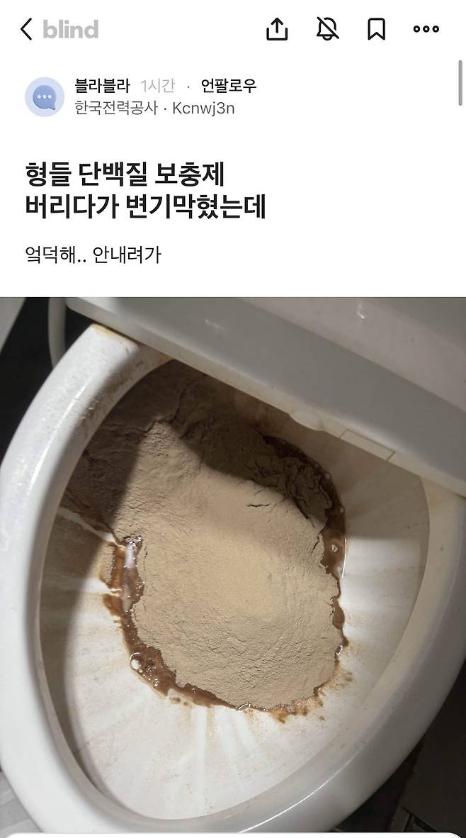 보충제 버리다가 변기막힌 블라인