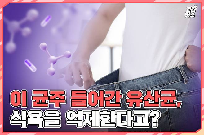 헬스조선 DB