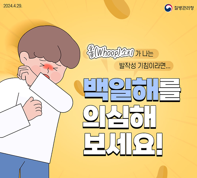 질병관리청은 올해 상반기 백일해 유행이 지속되며 직전 유행시기(2018년) 같은 기간에 비해 24배나 높은 환자가 발생했다고 밝혔다. 그림·질병관리청 제공