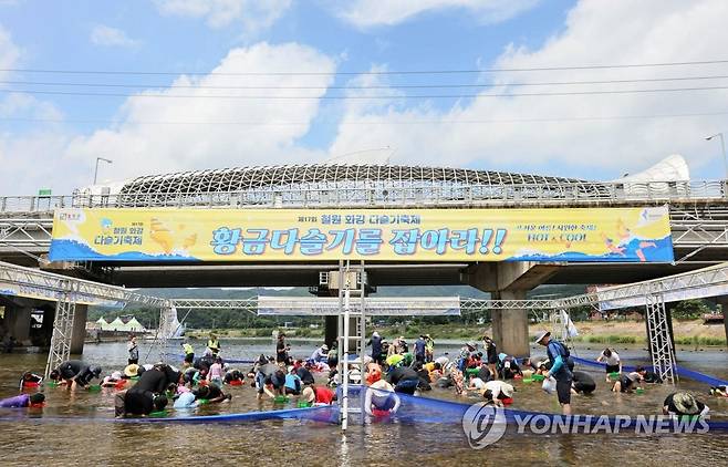 철원 화강 다슬기축제 [철원군 제공. 재판매 및 DB 금지]