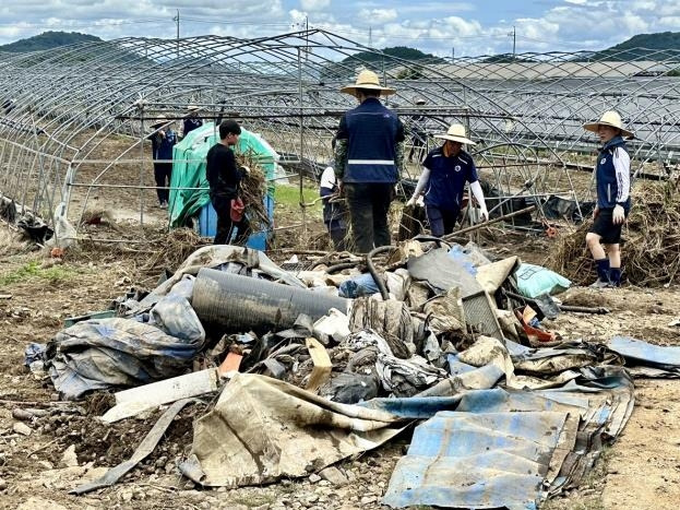 논산에서 수해복구 하는 충남교육청 직원들 [충남교육청 제공. 재판매 및 DB 금지]