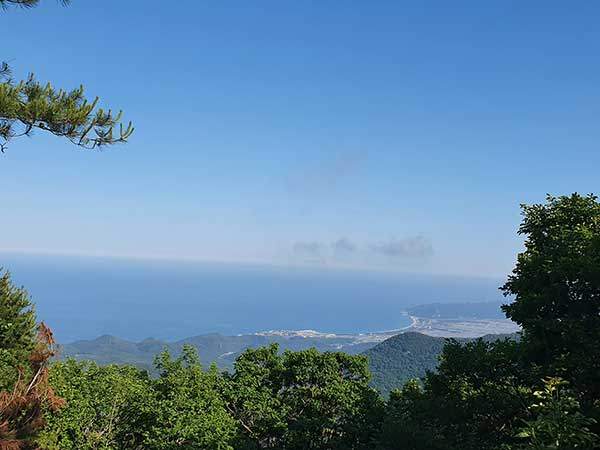 산 정상에서 바라본 동해, 가운데 고래불해수욕장.