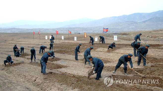 북한 세포지구 축산기지 (평양 조선중앙통신=연합뉴스) 북한 강원도 세포지구 축산기지에서  돌격대원들이 씨뿌리기 등을 다그치고 있는 모습.  2015.5.12 seephoto@yna.co.kr