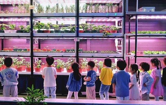 지난 5월 대전시 동구 삼성동 도심 빌딩에 문을 연 테마형 스마트팜 교육 체험시설인 대전팜을 찾아 즐거운 시간을 보내고 있다. 대전팜은 대전 원도심의 공실에 스마트팜을 조성해 버섯과 상추, 허브, 새싹 등 각종 농산물을 생산하고 활용하는 테마형 교육 체험시설이다. 프리랜서 김성태