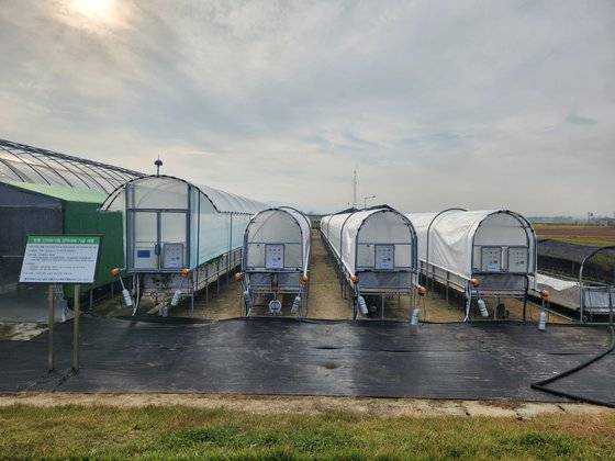 충북농업기술원이 개발한 '간이비가림형 양액 재배 장치'는 시설비를 절반 가까이 줄인 소형 스마트팜 재배시설이다. 사진 충북도