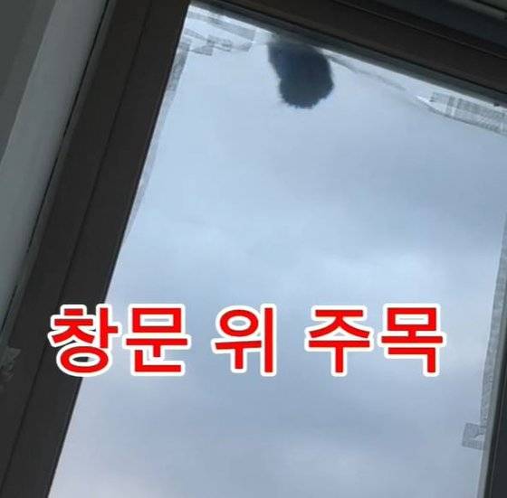 사진 인스타그램 캡처