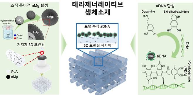 이현 가톨릭대 교수팀의 연구자료 이미지./사진제공=가톨릭대