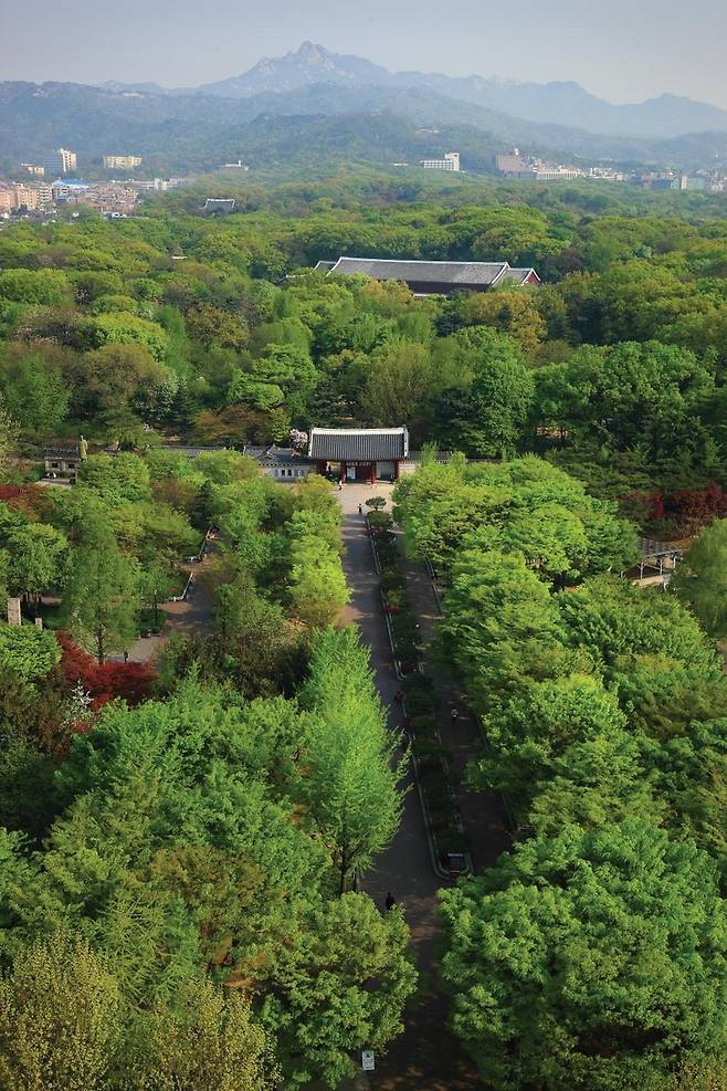 종묘 전경 [국가유산청 국가유산포털 제공. 재판매 및 DB 금지