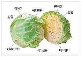 IMG_0583.jpeg 가격대비 미친 효능을 가진 식품