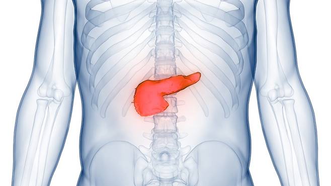췌장이 손상되면 기름진 음식을 먹었을 때 속이 메스껍고, 평소 심한 복부 통증이 느껴진다./사진=게티이미지뱅크