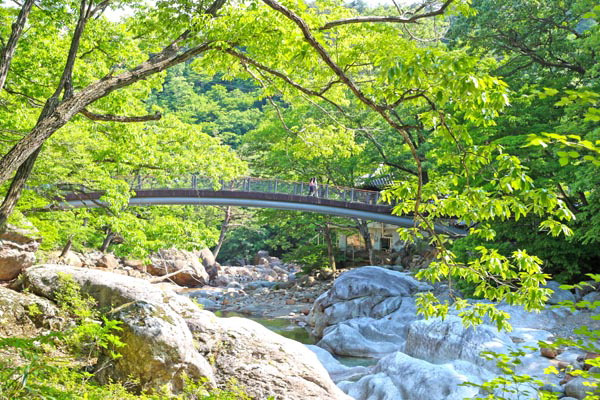 자연이 내뿜는 푸르름을 느끼기 좋은 대원사 계곡길. 산청군 제공