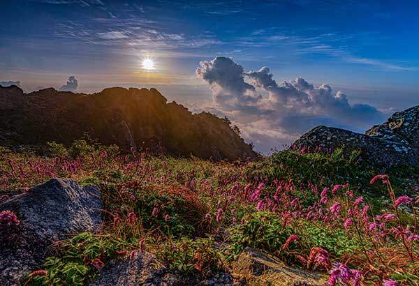 사진 정현석 작가