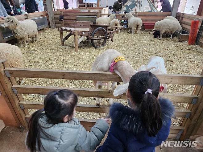 [고창=뉴시스] 류난영 기자= 매일유업이 운영하는 전북 고창에 위치한 농어촌 체험형 테마공원 '상하농원'에서 아이들이 먹이주기 체험을 하고 있다.