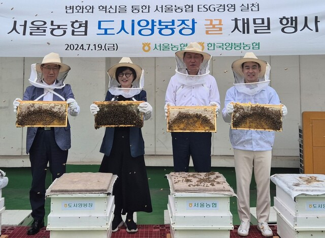 서울농협본부(본부장 김상수)가 19일 본부 옥상에서 채밀행사를 열었다. 행사장에서 윤효진 한국양봉농협 상임이사(왼쪽부터), 진선미 더불어민주당 의원(서울 강동구갑), 김상수 본부장, 김성태 전국금융산업노조 NH농협지부 서울지역본부 위원장이 채밀판을 들어보이고 있다.