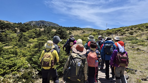 ▲한라산국립공원 깃대종 산굴뚝나비 현장교육.ⓒ한라산국립공원관리소