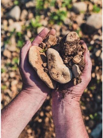 케란느 가리그 토양. 케란느와인협회