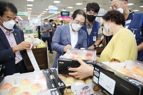 복숭아 살펴보는 황규철 옥천군수(가운데) [옥천군 제공. 재판매 및 DB금지]