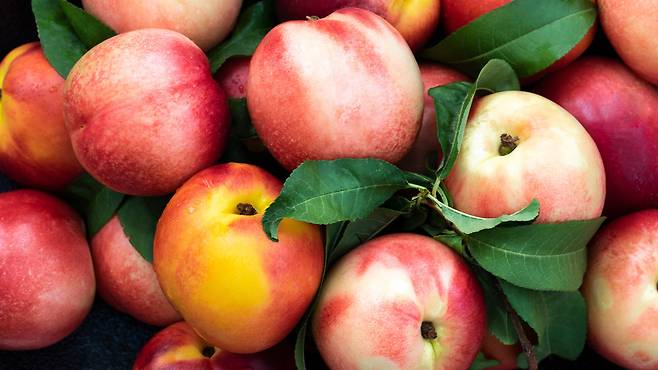 사진=클립아트코리아