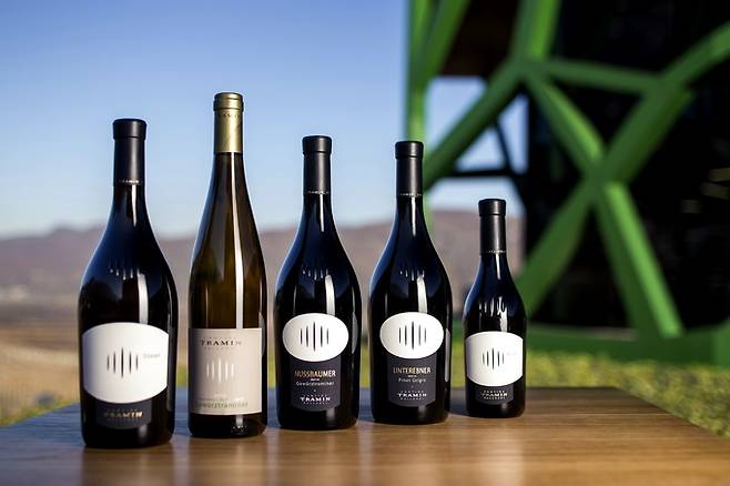 칸티나 트라민 와인. 홈페이지