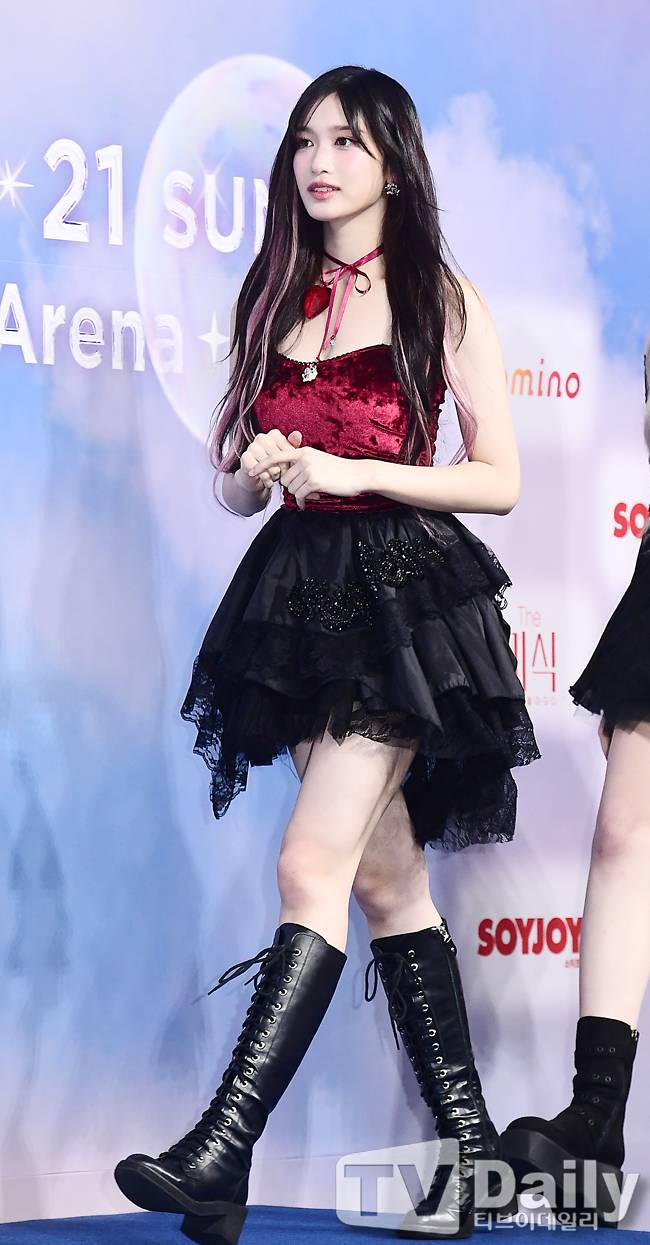 티브이데일리 포토