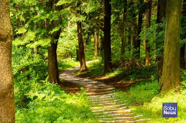 검은오름 탐방로. ⓒ비짓제주