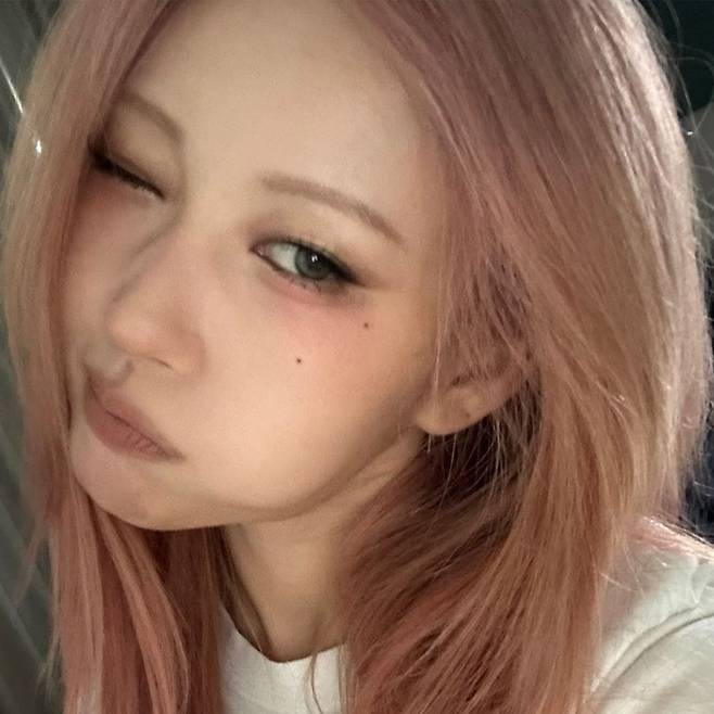 인스타그램 @risabae_art