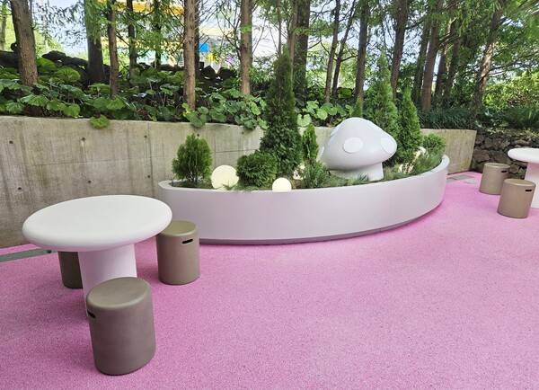 - 야외 테라스는 식물이 많아 눈이 시원해지는 느낌이 든다