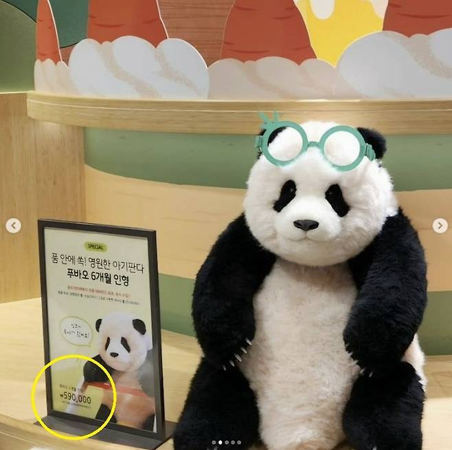 에버랜드 판다월드샵에서 판매 중인 ‘생후 6개월 푸바오’ 인형. 두상과 뿔털 등 푸바오의 생후 6개월 당시를 재현했다. 중국에서 제작된 이 인형의 가격이 59만원(노란 동그라미)으로 알려지면서 온라인에서 엇갈린 반응을 낳는다. 중국 판다팩토리 인스타그램 계정(pandafactory_xmgc) 캡처