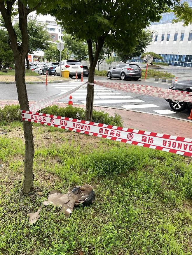 [이미지출처=연합뉴스]
