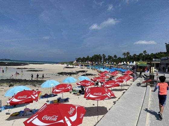 제주 금능해수욕장 파라솔 이미지. 최충일 기자