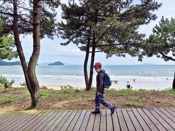 전남 완도군 신지도에는 ‘모래가 운다’는 뜻인 3.8㎞ 거리의 명사십리 해수욕장이 있다. 취재팀이 해수욕장 모래밭에 방풍림으로 조성한 해송 숲길을 걷고  있다. 멀리 청산도가 가물거린다.