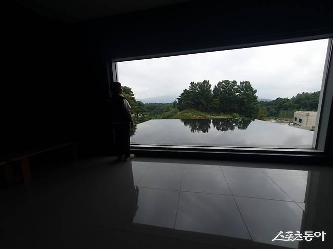 남원 시립김병종미술관은 주변의 자연과 어우러지게 공간을 구성한 것이 특징이다. 그래서 갤러리 곳곳에  ‘숲멍’할 수 있는 통창이 있다                                                                                                                                       남원｜김재범 기자