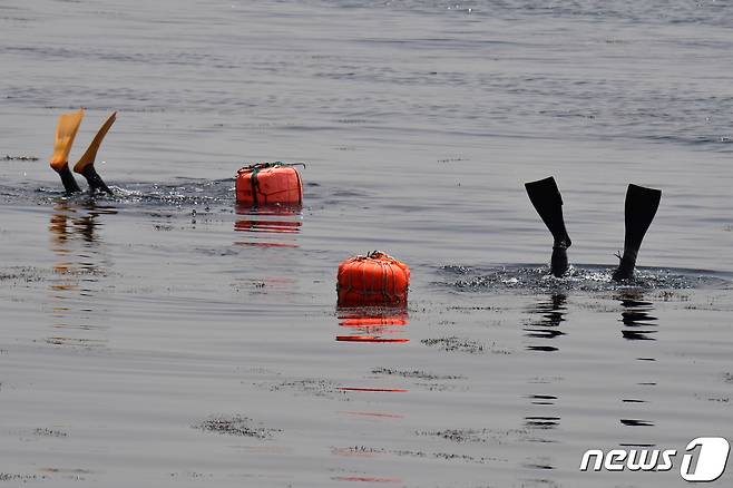 해녀 자료사진 /뉴스1 ⓒ News1 최창호 기자