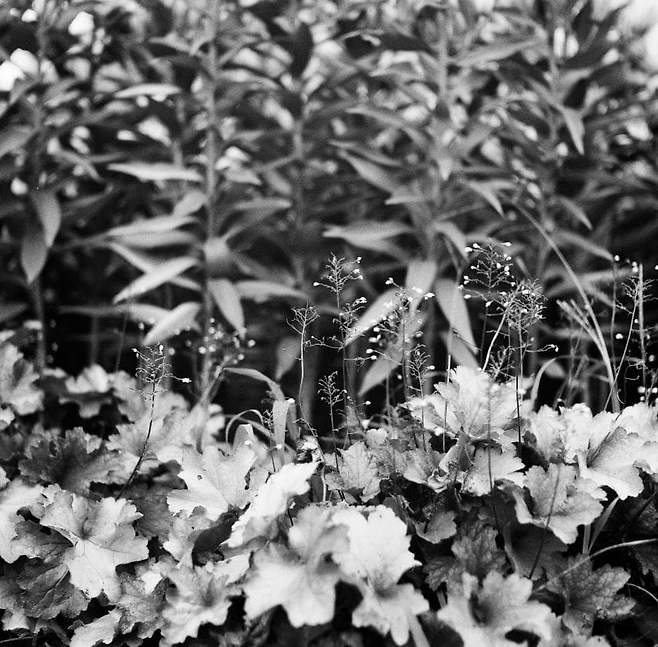 7ded8076b58b76ac7eb8f68b12d21a1da59457f825ca75