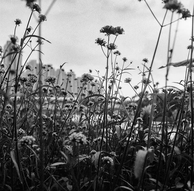 7ded8076b58576ac7eb8f68b12d21a1dd9aa619078d77e