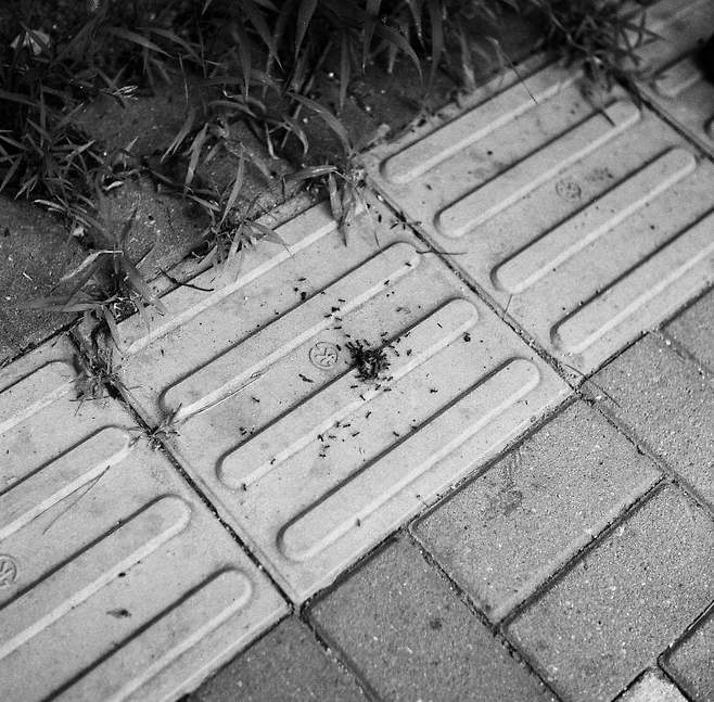 7ded8076b58776ac7eb8f68b12d21a1d03fcdd02107cd3