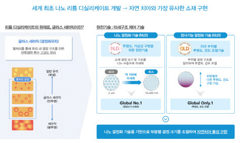 세계 최초 나노 리튬 디실리게이트 개발 원천 기술 설명. (자료=하스)