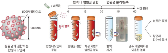 서울대병원·서울대 공동 연구팀이 개발한 ‘초고속 항균제 감수성 검사(uRAST)’ 에서 검사에 필요한 병원균을 확보하기 위해 시행하는 ‘사전 배양’ 과정. 서울대병원 제공