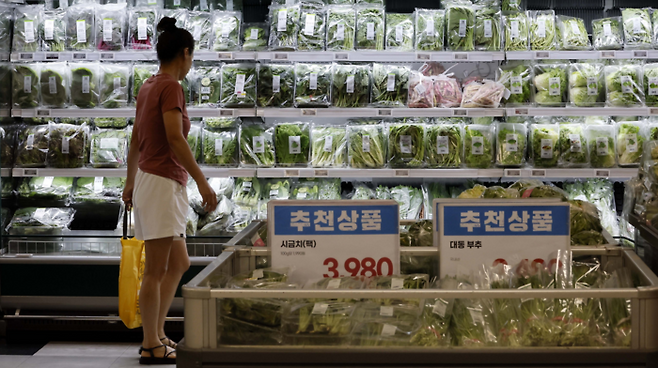 장마철 침수 피해로 채소 가격이 급등한 가운데 서울의 한 대형마트 채소 과채류 코너에서 소비자들이 물건을 고르고있다. [김호영 기자]