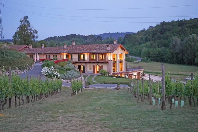 까시나 비네의 포도밭과 와이너리