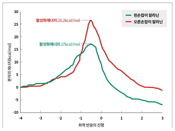 에너지로 알아본 왼손잡이 아미노산 vs. 오른손잡이 아미노산 - 일본 도쿄이과대 연구팀은 왼손잡이 알라닌과 오른손잡이 알라닌이 아미노아실화 과정을 겪을 때 필요한 활성화에너지를 측정한 결과 왼손잡이 알라닌의 활성화에너지가 9kal 더 낮다는 사실을 밝혔다. Life 제공