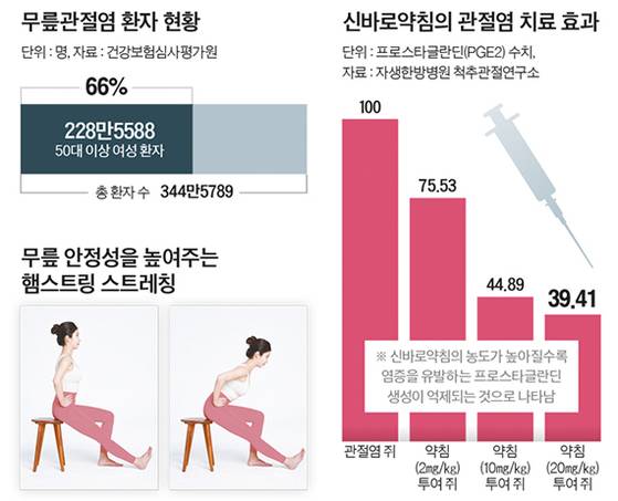그래픽=양유정 기자 yang.yujeong@joongang.co.kr