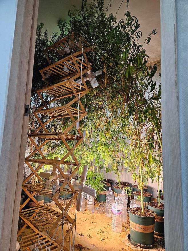 대마 밀경 범행 현장. 서울 송파경찰서 제공