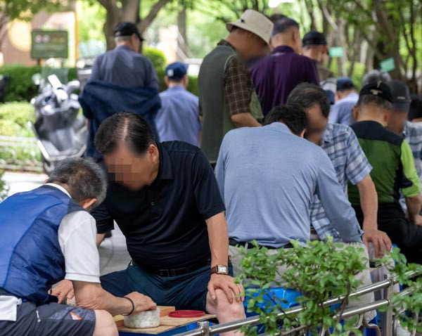 부산지역에 연일 폭염이 이어지는 가운데 지난 22일 부산시청 녹음광장 노상에서 어르신들이 바둑 삼매경에 빠져있다.  이원준 기자