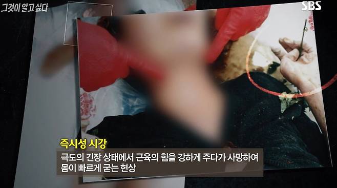 (SBS '그것이 알고 싶다')