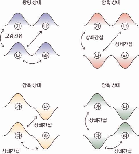 고체 물질의 단위 구조에 규칙적으로 배열된 같은 종류의 원자 4개(2쌍)에서 전자 파동의 모양을 유형별로 나타낸 그림. 파동의 모양이 모두 같은 경우(왼쪽 위) 전자의 파동이 포개졌을 때 보강간섭이 일어나 빛으로 관측할 수 있는 '광명 상태'가 된다. 다른 3가지 경우는 서로 다른 모양의 전자 파동이 포개져 사라지는 상쇄간섭이 일어나 '암흑 상태'가 된다. 김근수 교수 제공